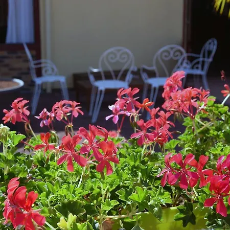 Contact Le Seino Marin - Elbeuf Rouen