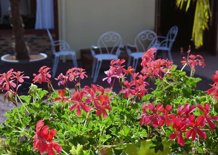 Contact Le Seino Marin - Elbeuf Rouen